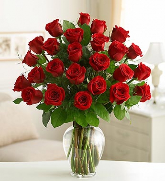 Imagen de Amor Real 