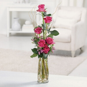 Imagen de Color De Rosa