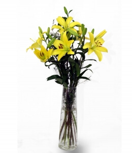 Imagen de Liliums Amarillas
