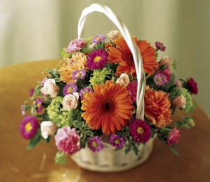 Imagen de Tiempo de Gerberas