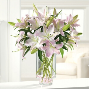 Imagen de Lilies Blancas