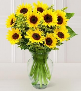 Imagen de Girasoles