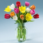 Imagen de Tulipanes