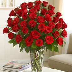Imagen de Amor Intenso [Rosas importadas]