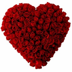 Imagen de 50 Rosas de Corazón