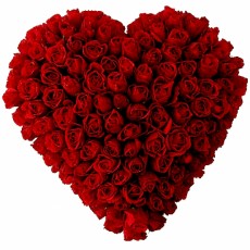 Imagen de 100 Rosas de Corazón