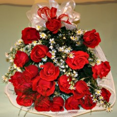 Imagen de Amor querido
