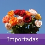 Imagen de Ramo de Rosas Surtidas [Importadas]