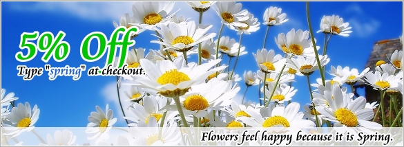 Image of Spring coupon